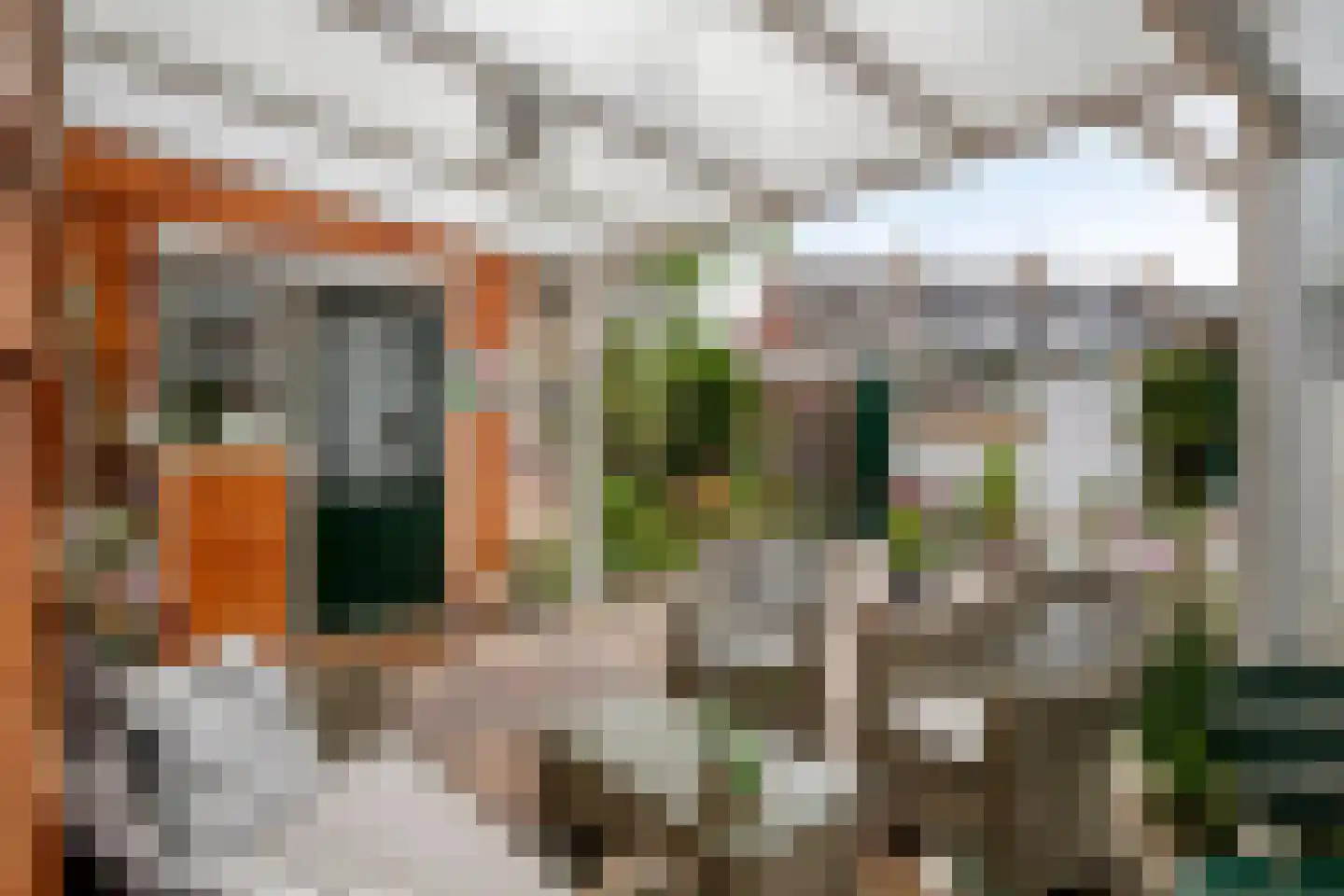 Sterrenlaan 37 Puttershoek thumbnail 41