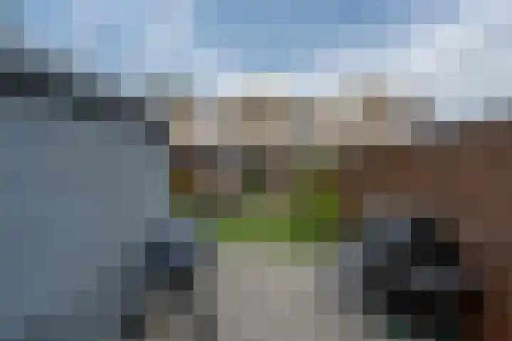 Sterrenlaan 4 Puttershoek thumbnail 31