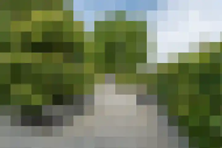Sterrenlaan 4 Puttershoek thumbnail 33