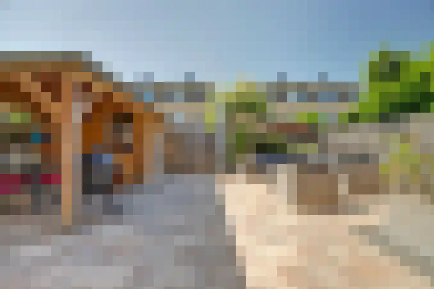 Sterrenlaan 41 Waddinxveen thumbnail 32