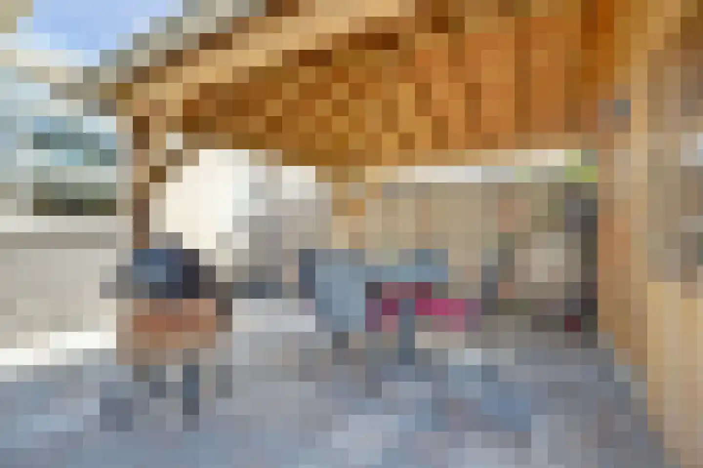Sterrenlaan 41 Waddinxveen thumbnail 37