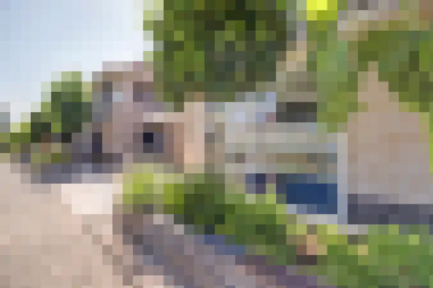 Sterrenlaan 41 Waddinxveen thumbnail 40