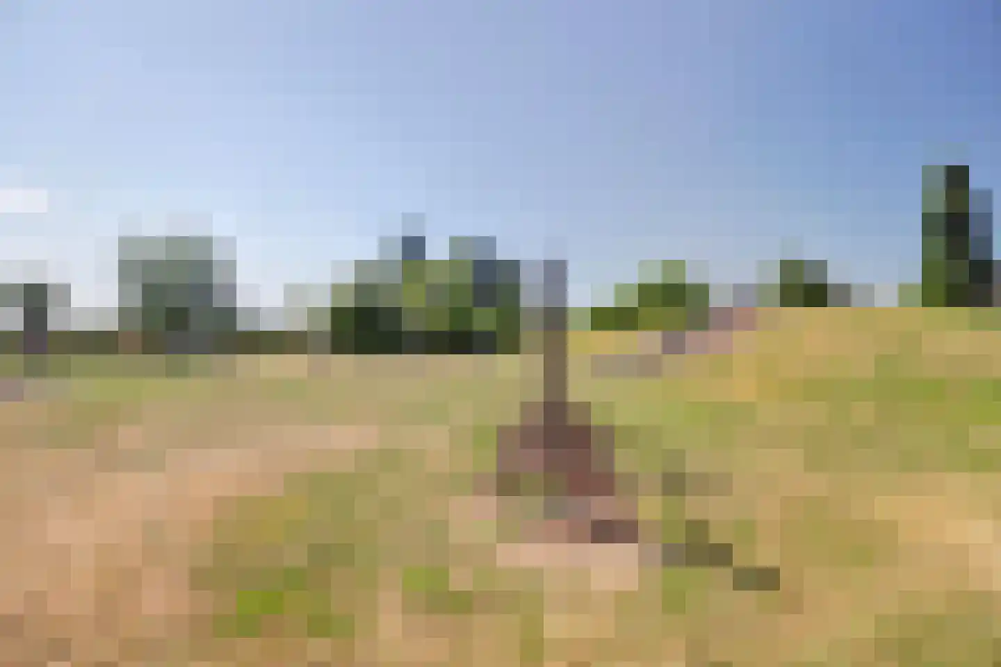 Sterrenlaan 41 Waddinxveen thumbnail 44
