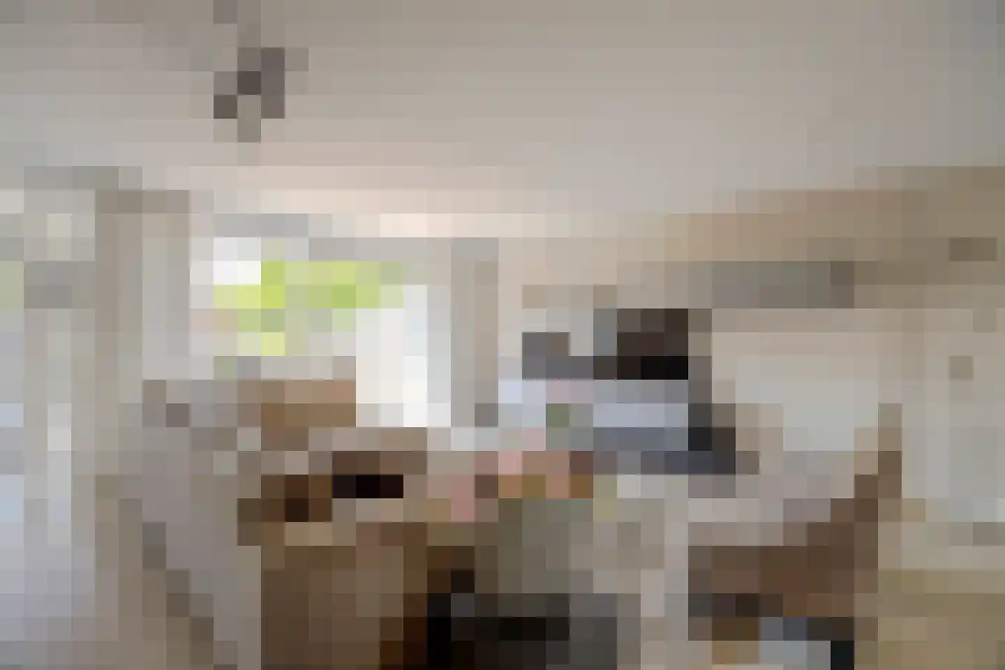 Sterrenlaan 41 Waddinxveen thumbnail 9