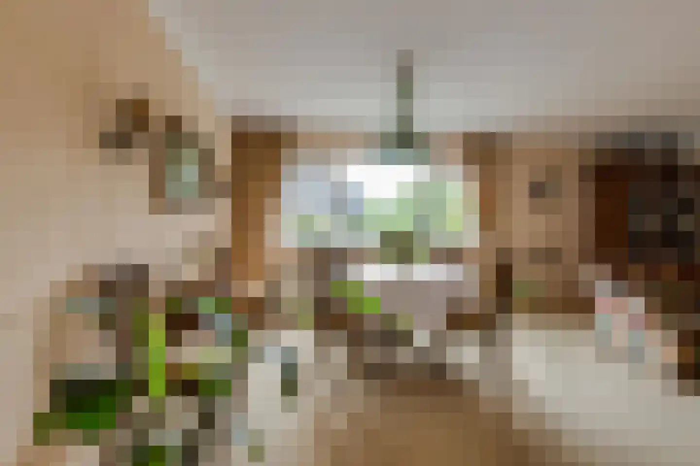 Sterrenlaan 43 Bleiswijk thumbnail 11