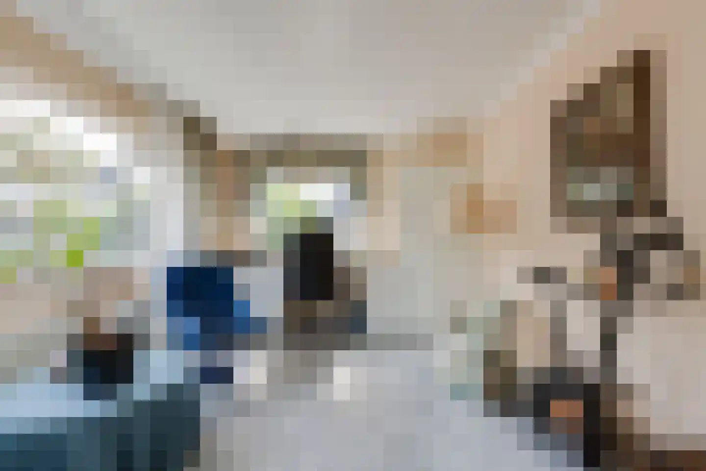 Sterrenlaan 43 Bleiswijk thumbnail 30