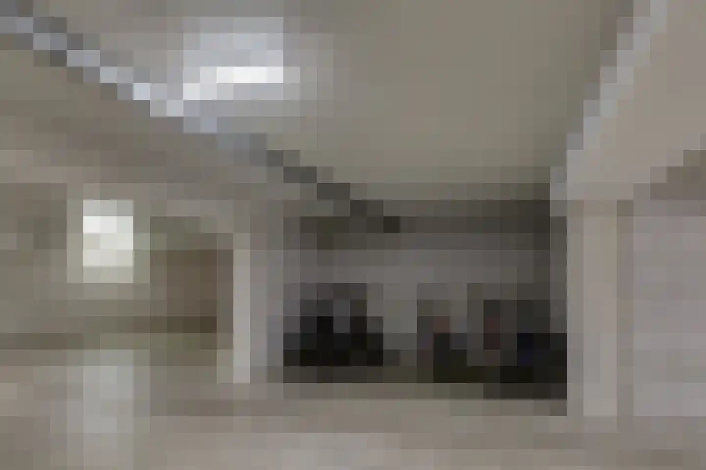 Sterrenlaan 43 Bleiswijk thumbnail 38