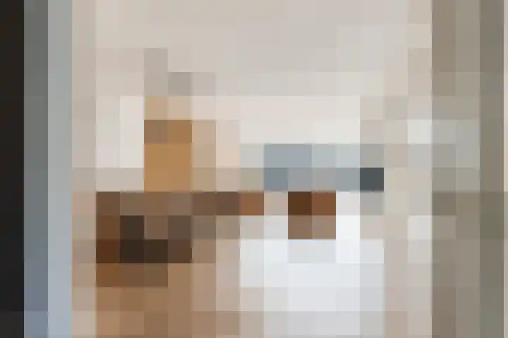 Sterrenlaan 46 Waddinxveen thumbnail 11