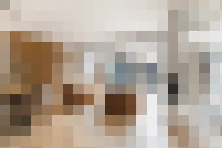 Sterrenlaan 46 Waddinxveen thumbnail 13