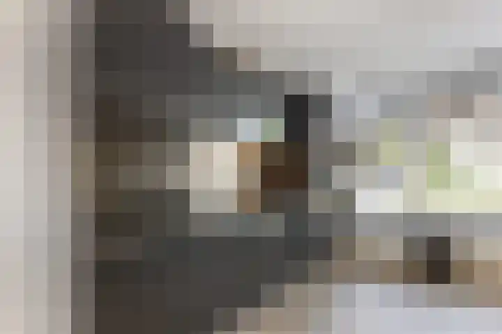 Sterrenlaan 46 Waddinxveen thumbnail 25