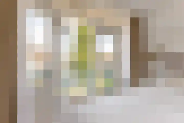 Sterrenlaan 46 Waddinxveen thumbnail 32