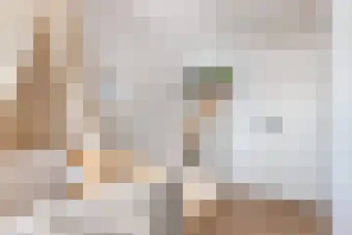 Sterrenlaan 46 Waddinxveen thumbnail 38