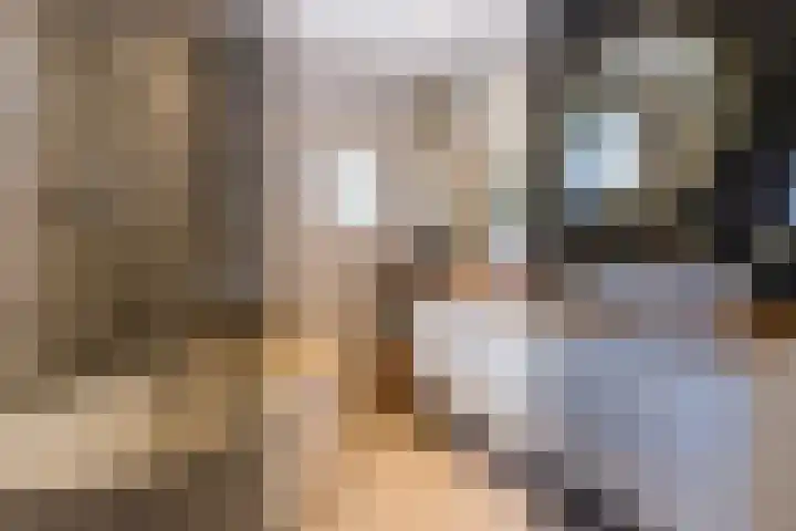 Sterrenlaan 46 Waddinxveen thumbnail 43