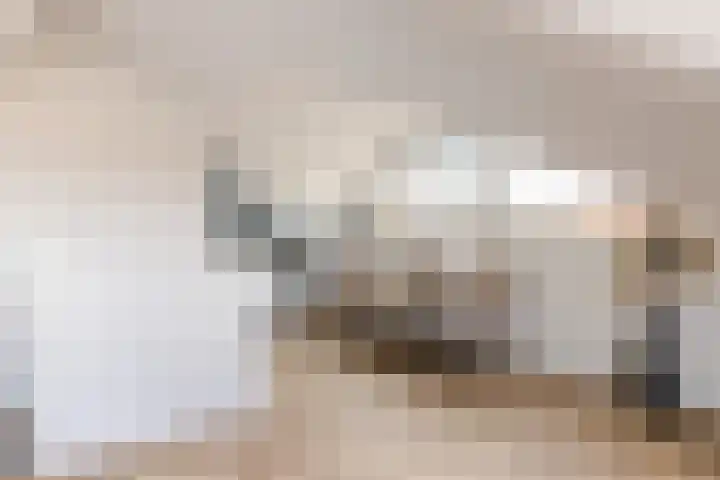 Sterrenlaan 46 Waddinxveen thumbnail 46