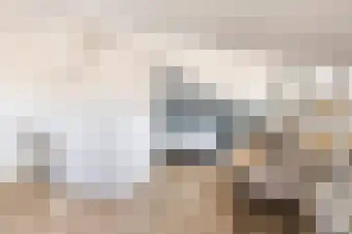 Sterrenlaan 46 Waddinxveen thumbnail 47