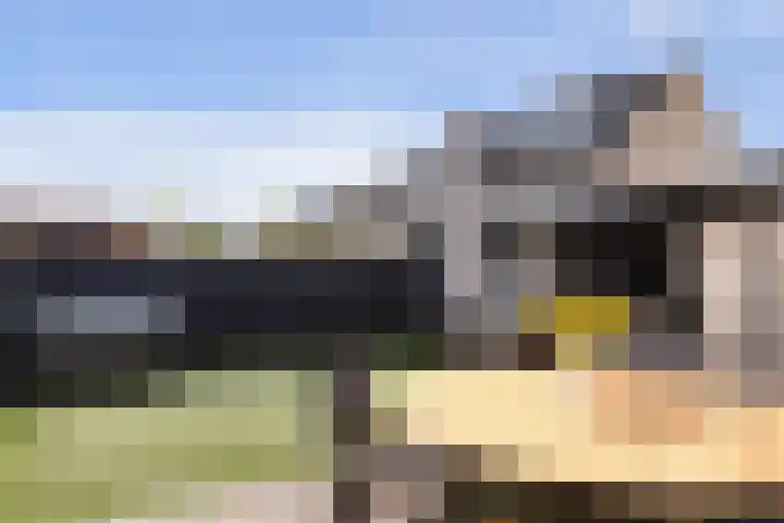 Sterrenlaan 46 Waddinxveen thumbnail 51