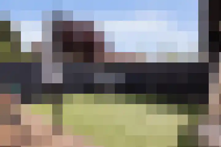 Sterrenlaan 46 Waddinxveen thumbnail 52