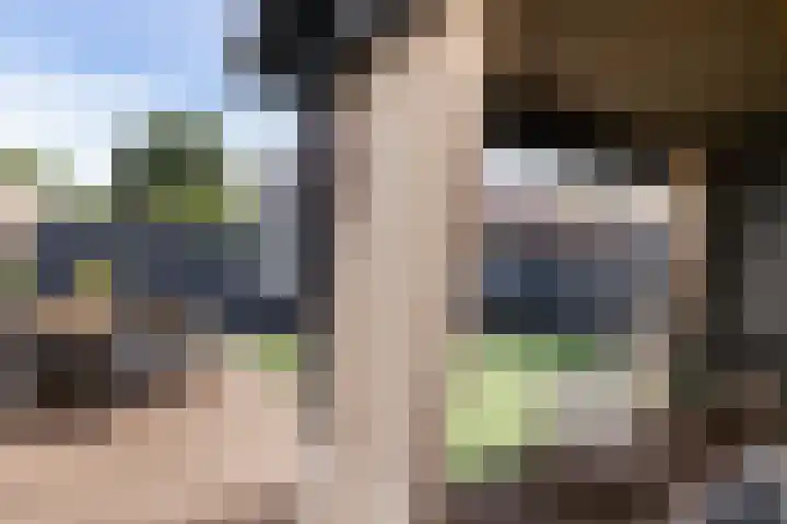 Sterrenlaan 46 Waddinxveen thumbnail 58