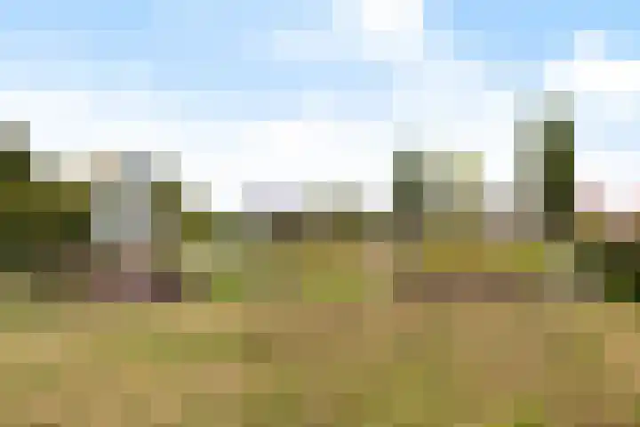 Sterrenlaan 46 Waddinxveen thumbnail 65