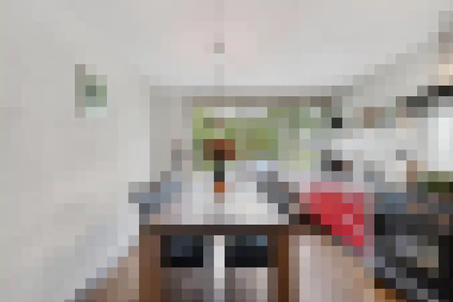 Sterrenlaan 48 Schijndel thumbnail 4