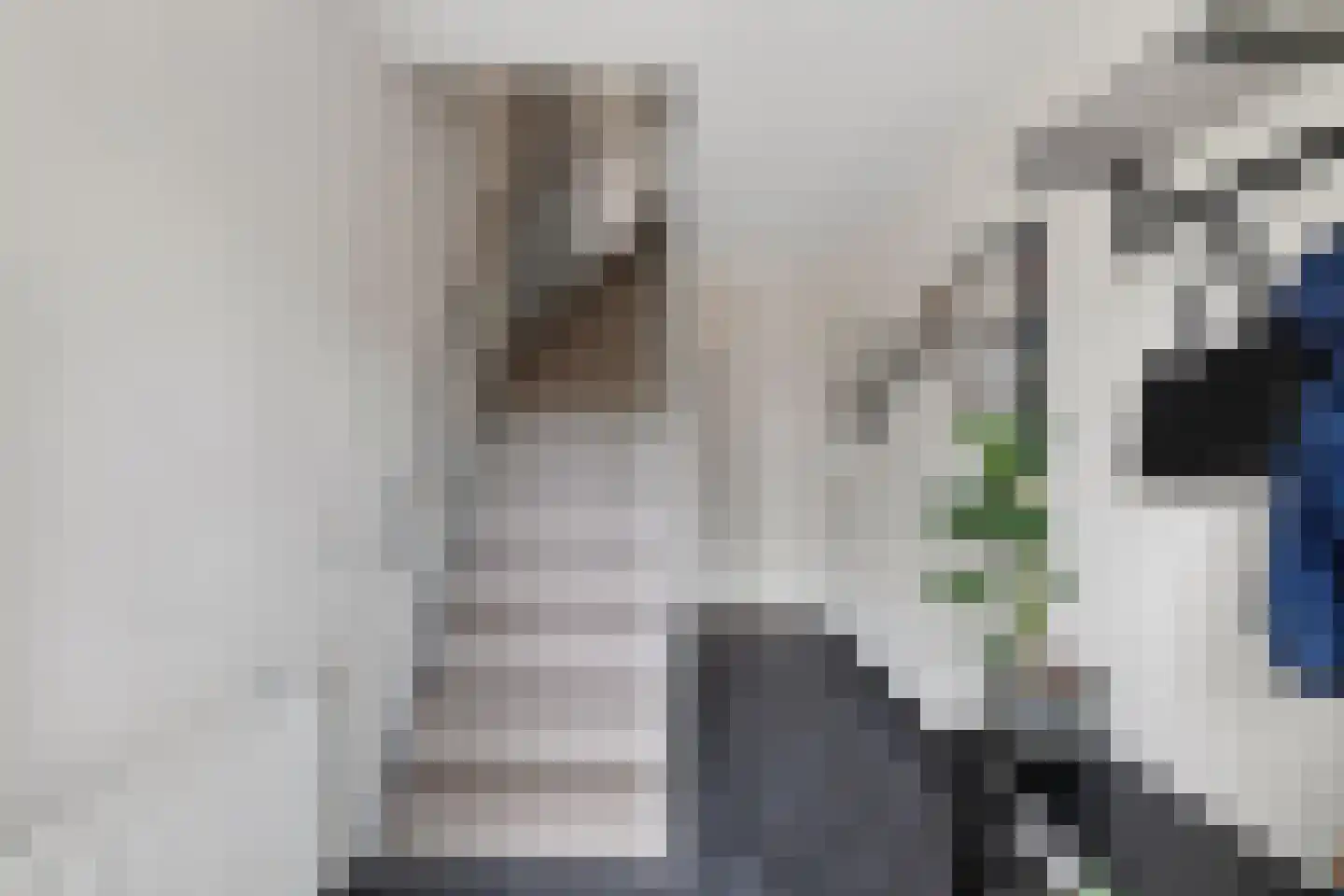 Sterrenlaan 48 Schijndel thumbnail 8