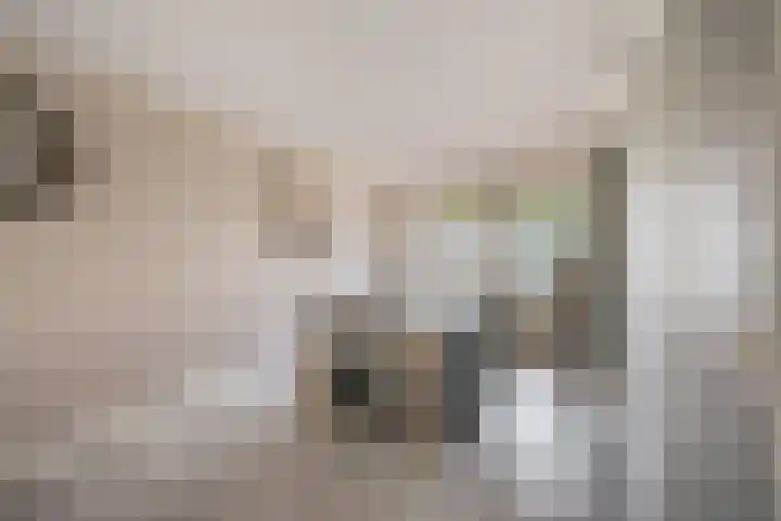 Sterrenlaan 68 Waddinxveen thumbnail 12