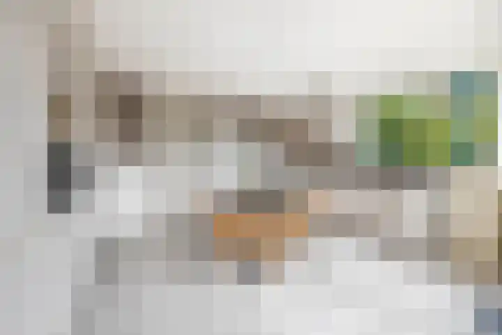 Sterrenlaan 68 Waddinxveen thumbnail 18