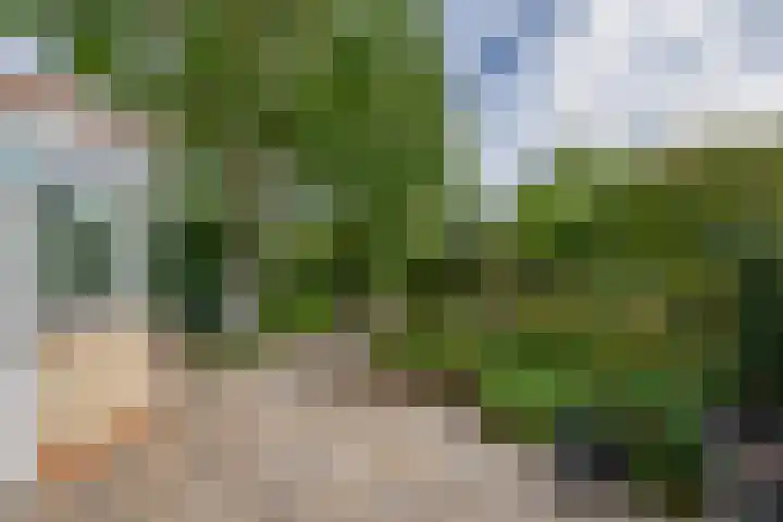 Sterrenlaan 68 Waddinxveen thumbnail 19