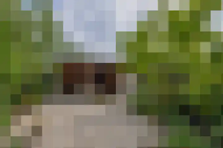Sterrenlaan 68 Waddinxveen thumbnail 20