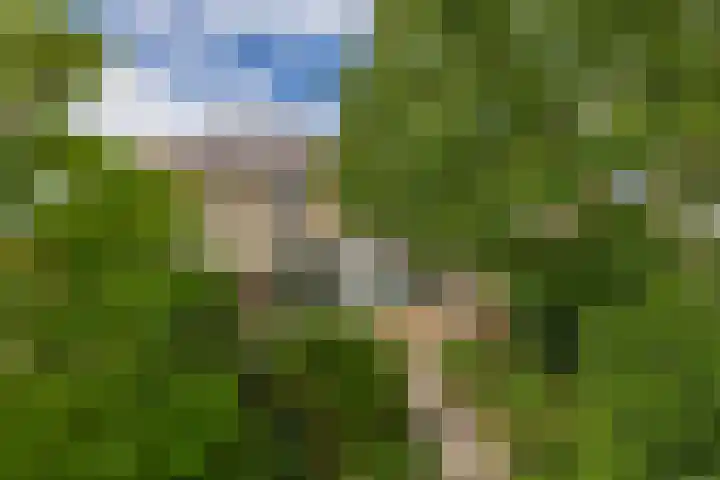 Sterrenlaan 68 Waddinxveen thumbnail 22