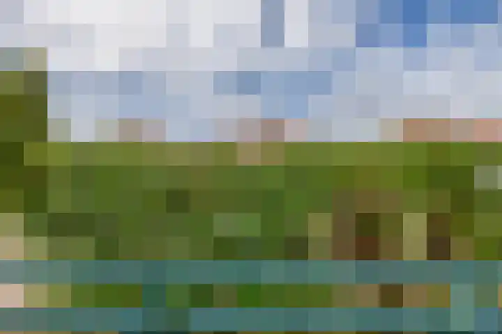 Sterrenlaan 68 Waddinxveen thumbnail 34