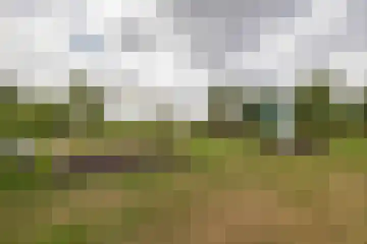 Sterrenlaan 68 Waddinxveen thumbnail 37