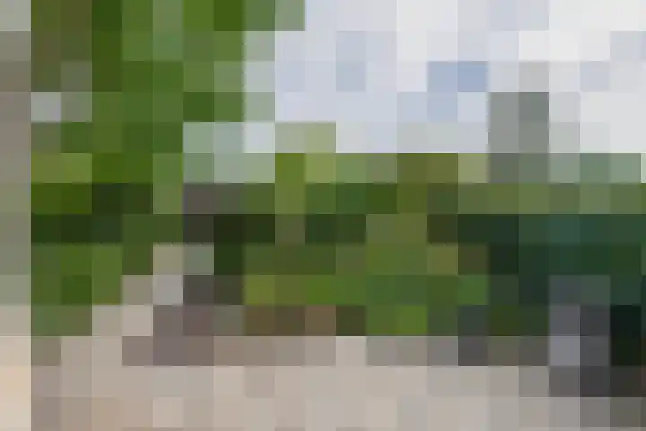 Sterrenlaan 68 Waddinxveen thumbnail 4