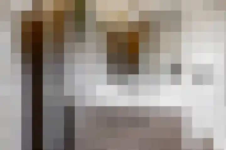 Sterrenlaan 9 Alphen aan den Rijn thumbnail 15