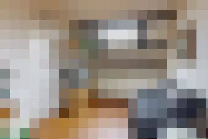 Sterrenlaan 9 Alphen aan den Rijn thumbnail 17
