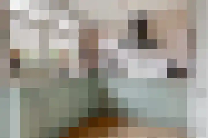 Sterrenlaan 9 Alphen aan den Rijn thumbnail 4