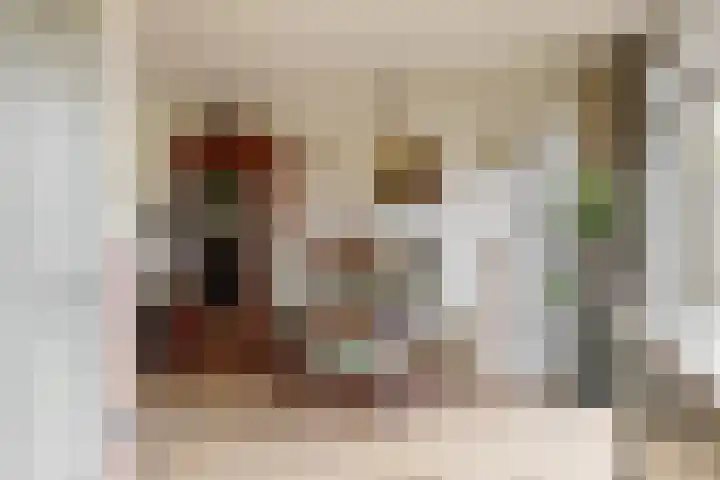 Sterrenlaan 9 Alphen aan den Rijn thumbnail 7