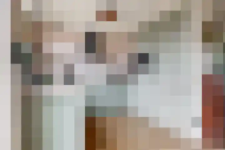 Sterrenlaan 9 Alphen aan den Rijn thumbnail 8