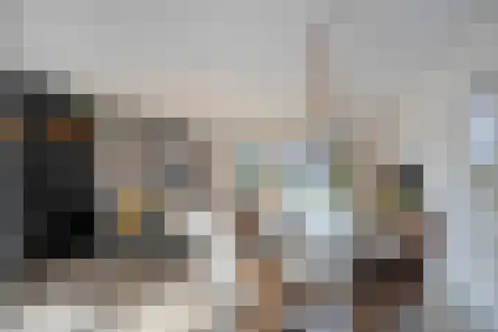 Sterrenmos 54 Zwolle thumbnail 12