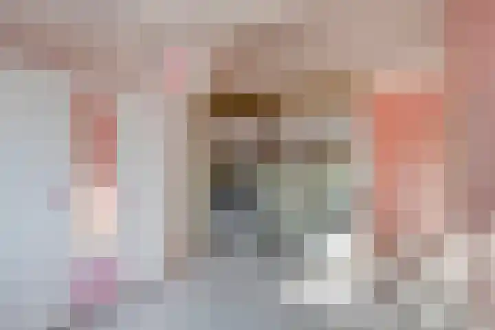 Sterrenmos 54 Zwolle thumbnail 19