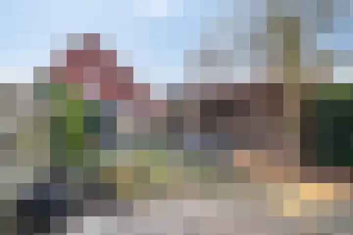 Sterrenmos 54 Zwolle thumbnail 24