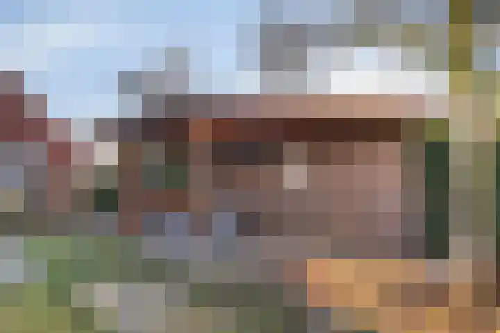 Sterrenmos 54 Zwolle thumbnail 25