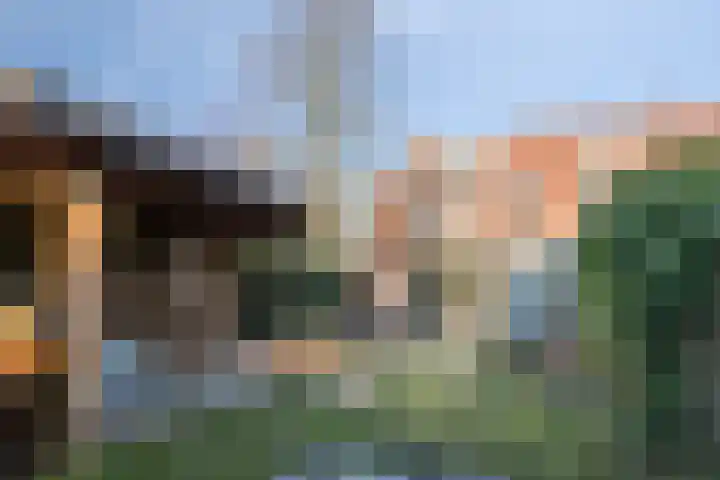 Sterrenmos 54 Zwolle thumbnail 26