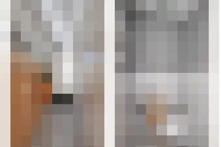 Sterrenmos 54 Zwolle thumbnail 4