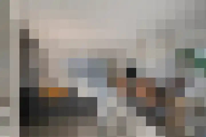Sterrenmos 54 Zwolle thumbnail 5