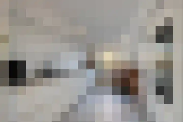 Sterrenmos 54 Zwolle thumbnail 9