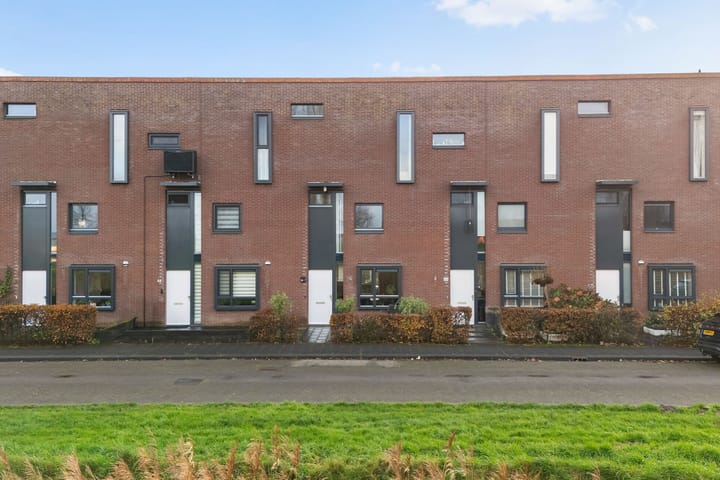 Sterrenmos 62 in Zwolle foto