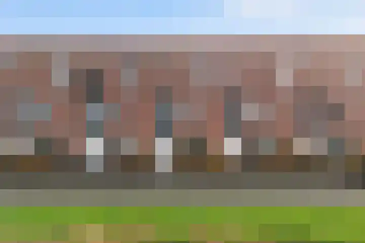 Sterrenmos 62 in Zwolle