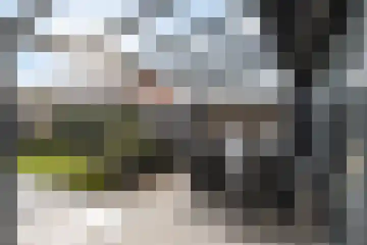 Sterrenmos 62 Zwolle thumbnail 10