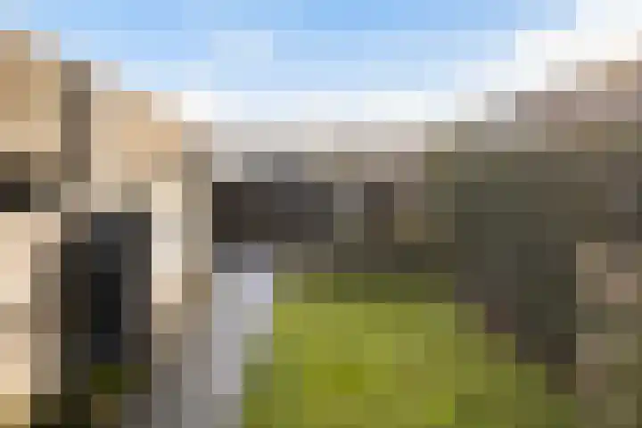 Sterrenmos 62 Zwolle thumbnail 12